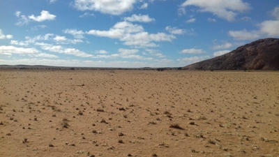 Challenge to donate to drought-stricken farmers