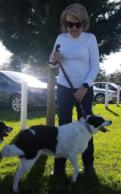Tree strenger op teen honde-eienaar, vra Niehaus