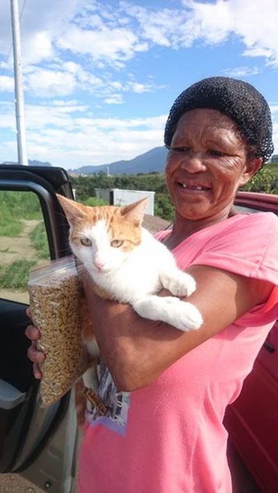 Animal welfare gives cat a leg to stand on