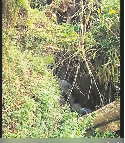 Sewage spill into Kat River
