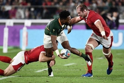 Springboks outlast Wales to reach final