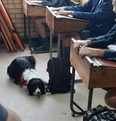 Dagga found: Disciplinary hearing for Point learner