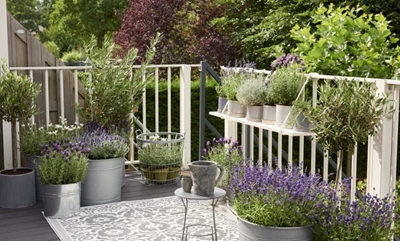 Create a beautiful balcony garden