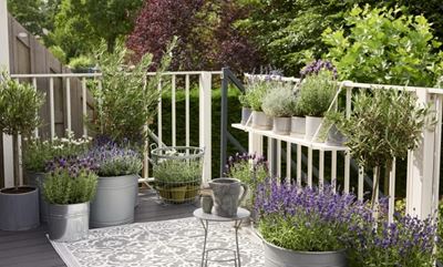 Create a beautiful balcony garden