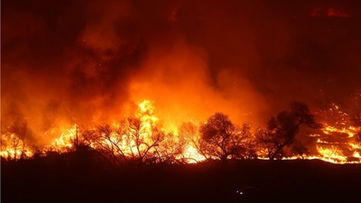 At least 20 dead in Greek wildfires