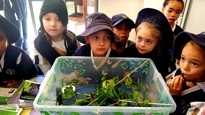 Science Week inspires learners