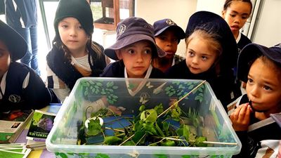 Science Week inspires learners