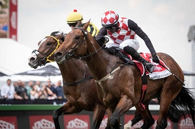 New mum Robyn Klaasen lands the Dingaans with Purple Pitcher