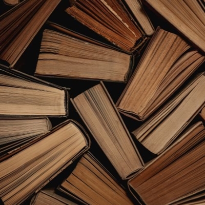 Libraries: books can't be taken out