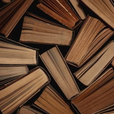 Libraries: books can't be taken out