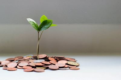 State-owned entities choking the life out of SA – economist