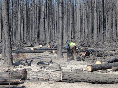 Standing together to recover from disaster