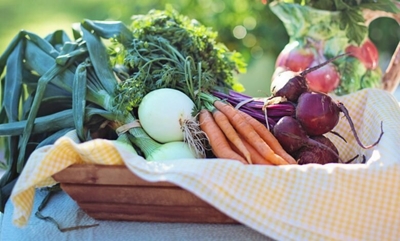 Time to plan your autumn and winter veggie garden