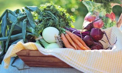Time to plan your autumn and winter veggie garden