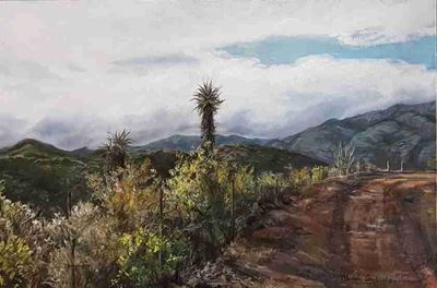 Unieke kunsuitstalling open in Calitzdorp