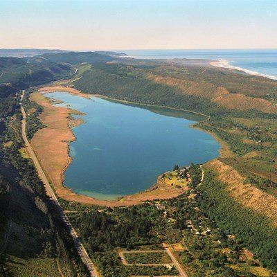 Carpe diem: Invasive fish feeds hungry in South Africa's lockdown