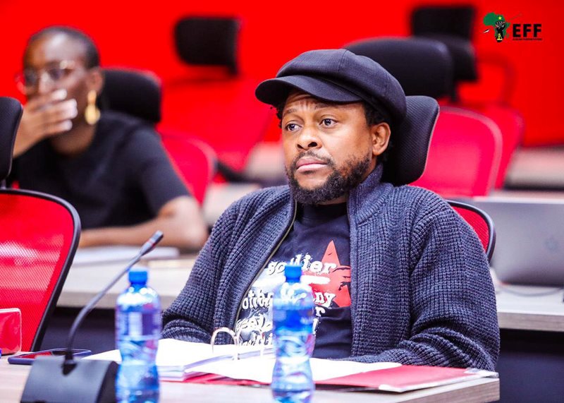 Mbuyiseni Ndlozi resigns from Julius Malema's EFF | George Herald