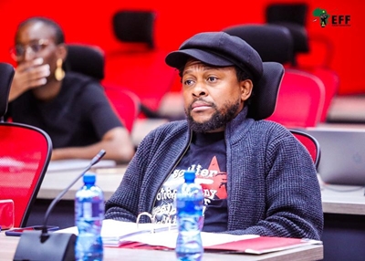 Mbuyiseni Ndlozi resigns from Julius Malema’s EFF