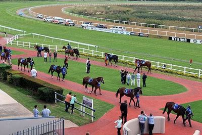 Charges laid after protesters attack racehorses in PE, kill one