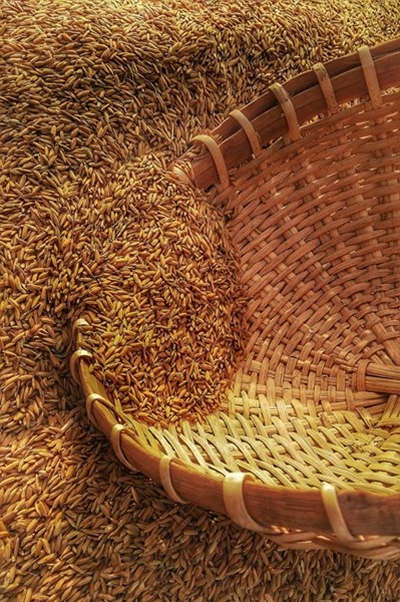 SA welcomes Zim decision to lift ban on importation of maize and grains