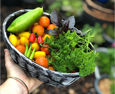 Get ready for a 2nd wave of summer veggies