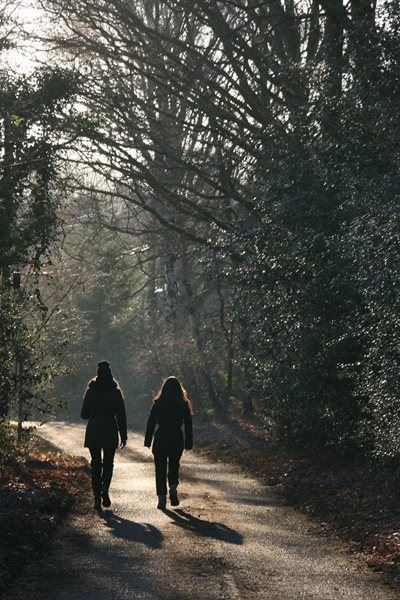Walking back to happiness