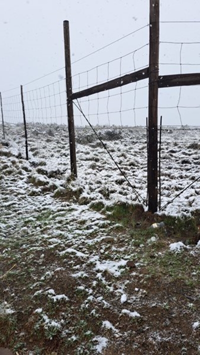 Sneeu en reën in en om Graaff-Reinet 