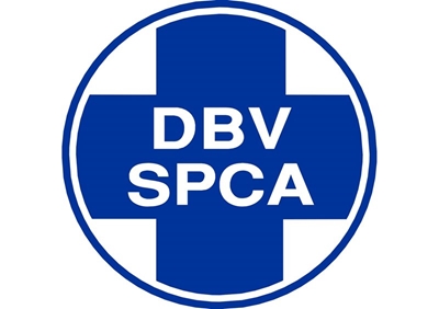 Ondersoek kom na hondegeveg in Pacaltsdorp
