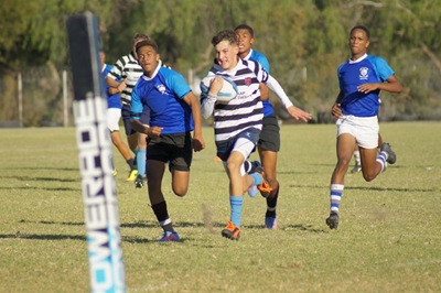 SWD-proewe op hande