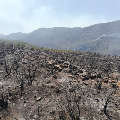 Wildfire Update: Kammanassie Mountains