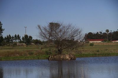 Dam hou gevaar vir kinders in