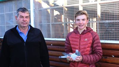 Aspirant-boer presteer met wedvlugduiwe