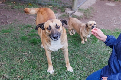 Sweet George is waiting for his happy ending 