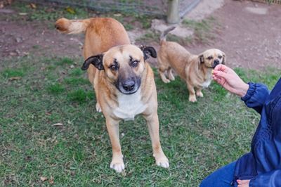 Sweet George is waiting for his happy ending 
