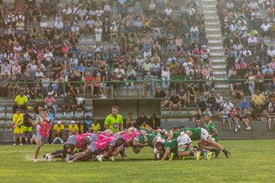 Arende laat die Pumas sweet