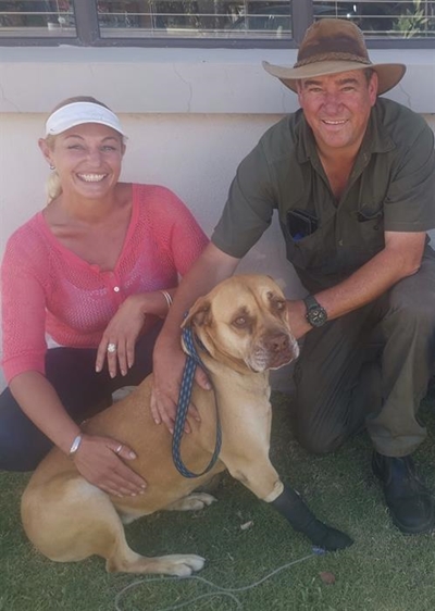Hond wat bloedoortapping ontvang dood