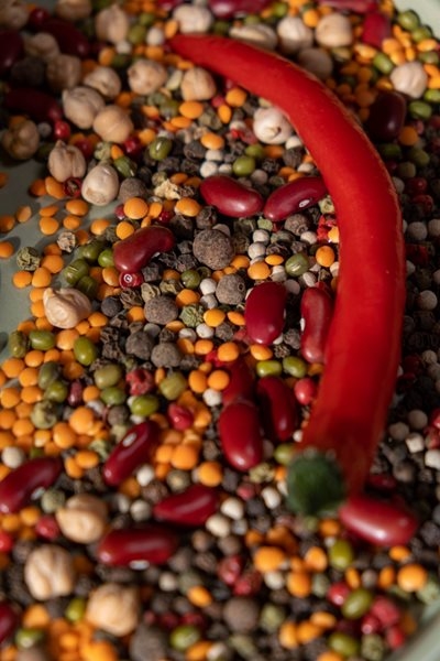 Increasing the production of pulses will benefit people and planet