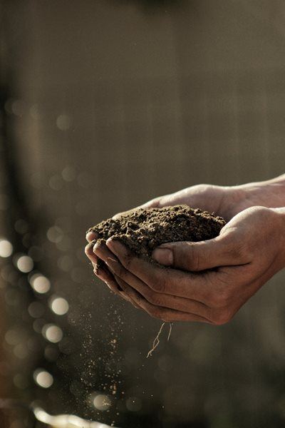 Number of people employed in agriculture increases