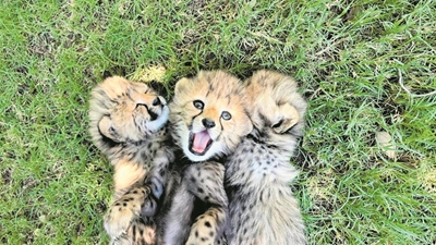 A season of new beginnings