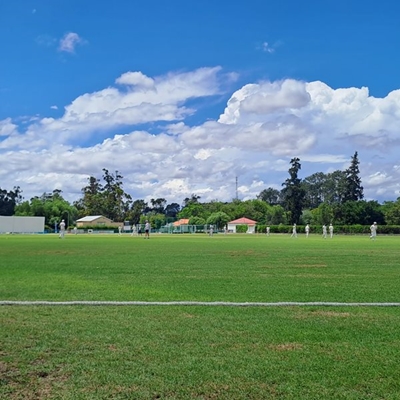 Senior Cricket Festival kicks off