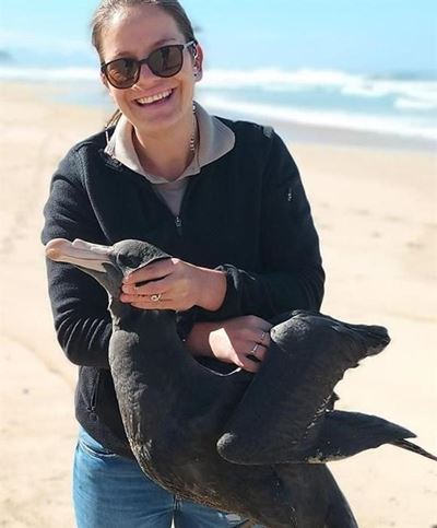Birds of a feather to fly at Plett festival