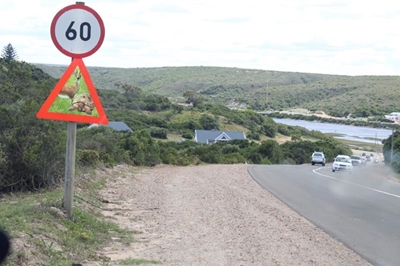 Stilbaai-spoedvrate onder loep