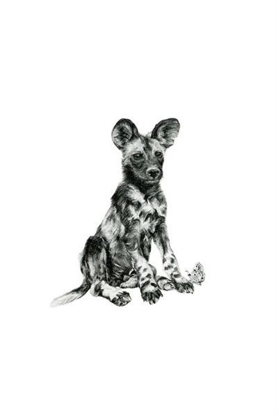 Art show to highlight endangered species