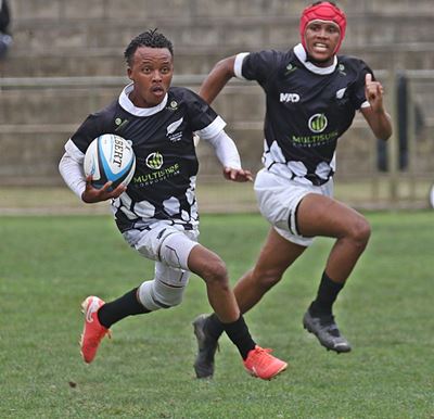 All Blacks, Knysna beïndruk