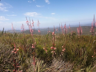 Preparing for a changing climate in Southern Cape