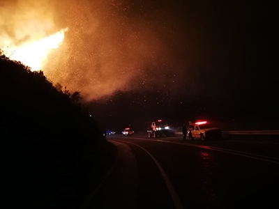 Crews fight vegetation fire