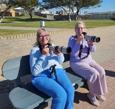 Enjoying whale watching