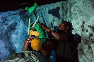 ‘Mantis and The Bee’ to buzz in Knysna