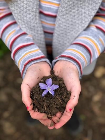Fertile ground