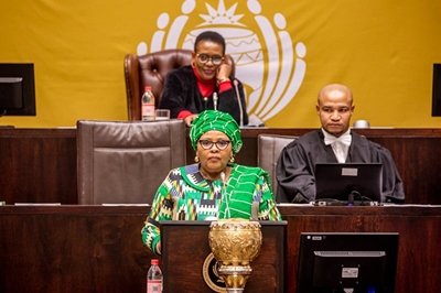Parliamentary oversight key to ensuring State development